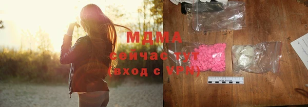 хмурый Бородино