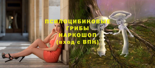 хмурый Бородино