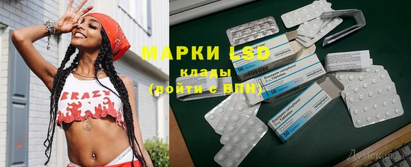 хмурый Бородино