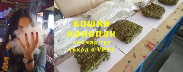 хмурый Бородино