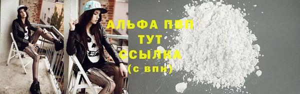 прущие грибы Верхнеуральск