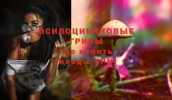 прущие грибы Верхнеуральск