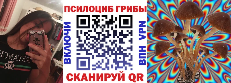 Галлюциногенные грибы прущие грибы  Дмитровск 